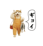 面白にゃんこ(釣り)（個別スタンプ：28）