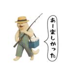 面白にゃんこ(釣り)（個別スタンプ：29）