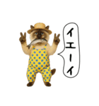 面白にゃんこ(釣り)（個別スタンプ：30）