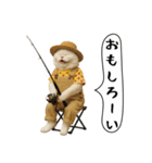 面白にゃんこ(釣り)（個別スタンプ：32）