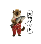 面白にゃんこ(釣り)（個別スタンプ：33）
