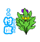 お野菜ピエロ（個別スタンプ：13）