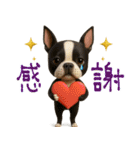 mottoのボステリさん♡日常♪（個別スタンプ：13）