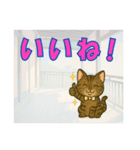【探しやすい】レオのでか文字スタンプ（個別スタンプ：10）