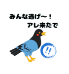 【関西弁】ハトがつぶやくの場合（個別スタンプ：21）