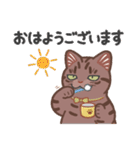 ちょっとワイルドなネコさん（個別スタンプ：1）