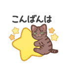 ちょっとワイルドなネコさん（個別スタンプ：4）