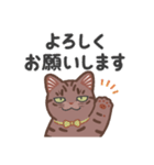 ちょっとワイルドなネコさん（個別スタンプ：8）