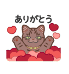 ちょっとワイルドなネコさん（個別スタンプ：9）