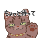 ちょっとワイルドなネコさん（個別スタンプ：15）