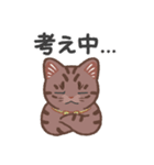 ちょっとワイルドなネコさん（個別スタンプ：16）
