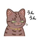 ちょっとワイルドなネコさん（個別スタンプ：17）