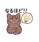 ちょっとワイルドなネコさん（個別スタンプ：19）