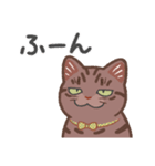 ちょっとワイルドなネコさん（個別スタンプ：20）
