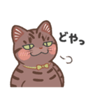 ちょっとワイルドなネコさん（個別スタンプ：21）