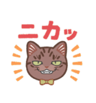 ちょっとワイルドなネコさん（個別スタンプ：23）