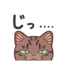 ちょっとワイルドなネコさん（個別スタンプ：32）