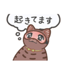 ちょっとワイルドなネコさん（個別スタンプ：37）