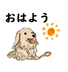 ミニチュアダックスフンドのモカ君（個別スタンプ：5）