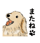ミニチュアダックスフンドのモカ君（個別スタンプ：7）