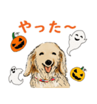 ミニチュアダックスフンドのモカ君（個別スタンプ：8）