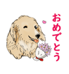 ミニチュアダックスフンドのモカ君（個別スタンプ：9）