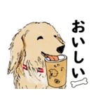 ミニチュアダックスフンドのモカ君（個別スタンプ：10）