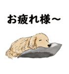 ミニチュアダックスフンドのモカ君（個別スタンプ：11）