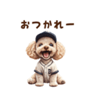 野球少年トイプードルの日常スタンプ（個別スタンプ：3）