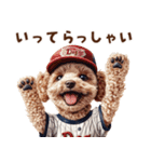 野球少年トイプードルの日常スタンプ（個別スタンプ：5）