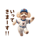 野球少年トイプードルの日常スタンプ（個別スタンプ：6）