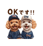 野球少年トイプードルの日常スタンプ（個別スタンプ：9）