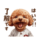 野球少年トイプードルの日常スタンプ（個別スタンプ：10）