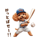 野球少年トイプードルの日常スタンプ（個別スタンプ：11）