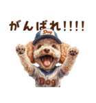 野球少年トイプードルの日常スタンプ（個別スタンプ：12）