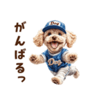 野球少年トイプードルの日常スタンプ（個別スタンプ：13）