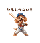 野球少年トイプードルの日常スタンプ（個別スタンプ：20）