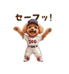 野球少年トイプードルの日常スタンプ（個別スタンプ：22）