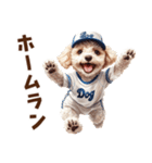 野球少年トイプードルの日常スタンプ（個別スタンプ：24）