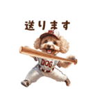 野球少年トイプードルの日常スタンプ（個別スタンプ：33）