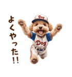 野球少年トイプードルの日常スタンプ（個別スタンプ：35）