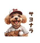 野球少年トイプードルの日常スタンプ（個別スタンプ：40）