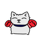 ライトニングすたーあさるとぉ〜2〜（個別スタンプ：13）