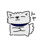 ライトニングすたーあさるとぉ〜2〜（個別スタンプ：23）