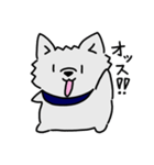 ライトニングすたーあさるとぉ〜2〜（個別スタンプ：31）