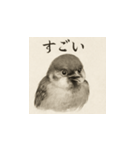 雀（水墨画風）（個別スタンプ：15）