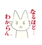 げんきに返事をする白猫（個別スタンプ：17）