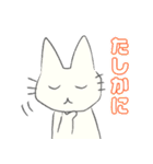 げんきに返事をする白猫（個別スタンプ：18）