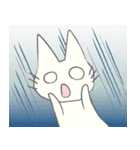 げんきに返事をする白猫（個別スタンプ：20）