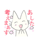 げんきに返事をする白猫（個別スタンプ：36）